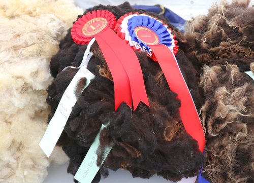 Sheep Wool Fleece's