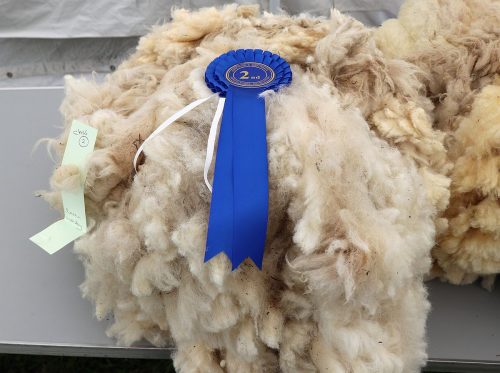 Sheep Wool Fleece's