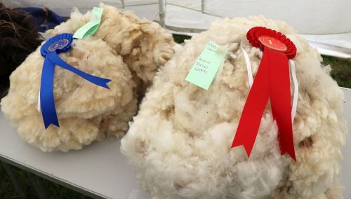 Sheep Wool Fleece's
