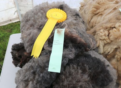 Sheep Wool Fleece's