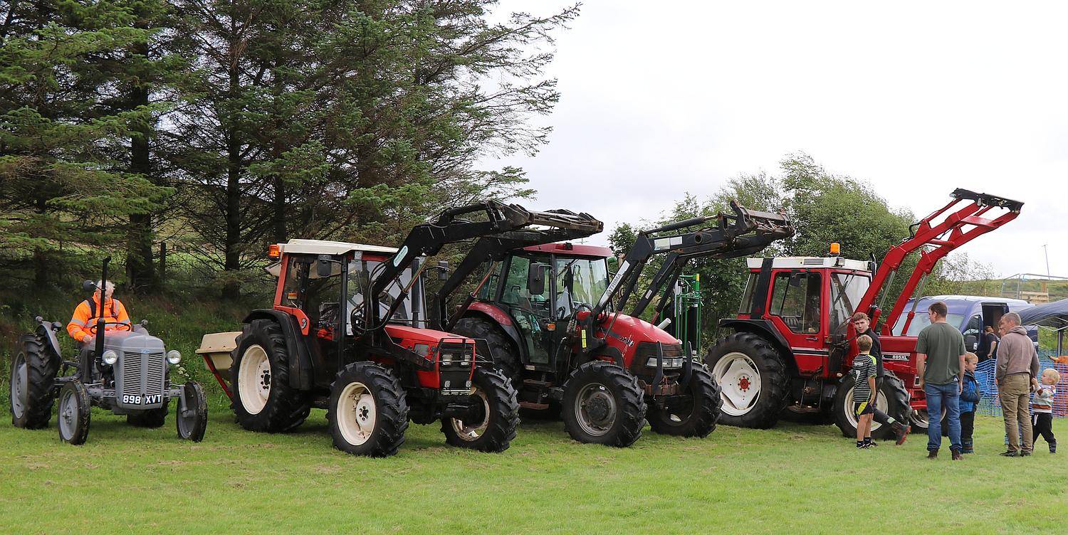 Vintage Tractor Display
